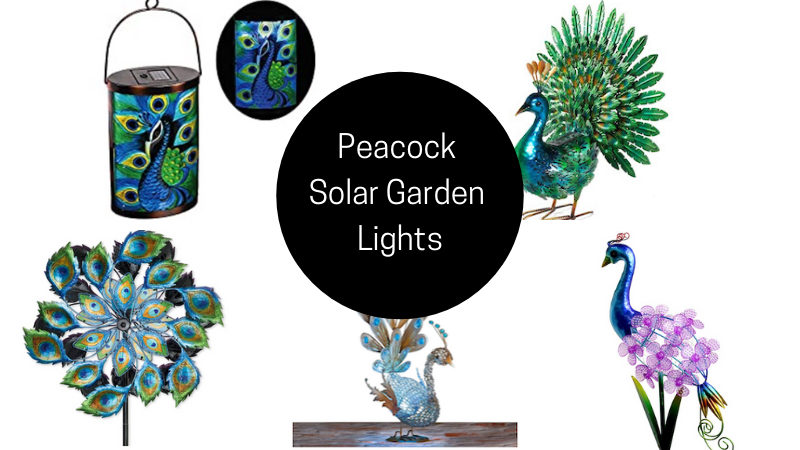 Peacock Solar Garden Lights